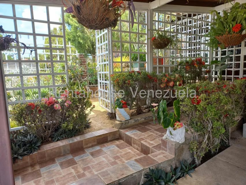 Casa (1 Nivel) en Venta en Pedro Gonzalez, Nueva Esparta - 3