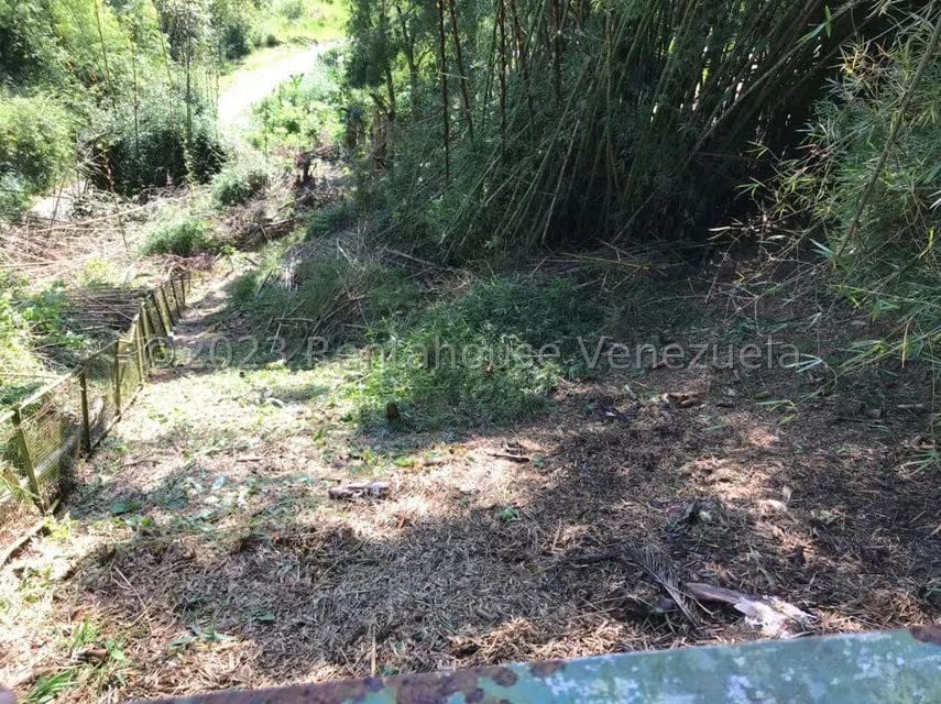 Terreno (Residencial) en Venta en Monte Elena, Distrito Metropolitano - 13