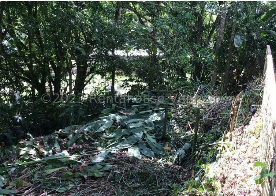 Terreno (Residencial) en Venta en Monte Elena, Distrito Metropolitano - 14