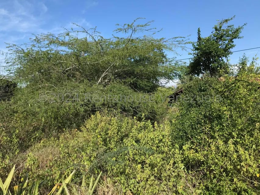 Terreno (Residencial) en Venta en Atamo Norte, Nueva Esparta - 4