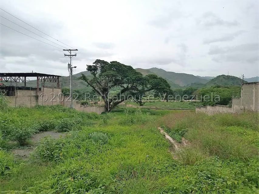 Terreno (Comercial) en Venta en Bella Vista, Aragua - 13