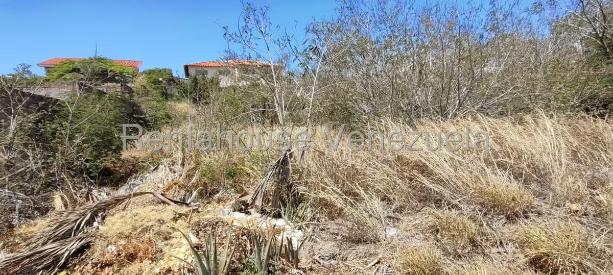 Terreno (Residencial) en Venta en Playa el Angel, Nueva Esparta - 4