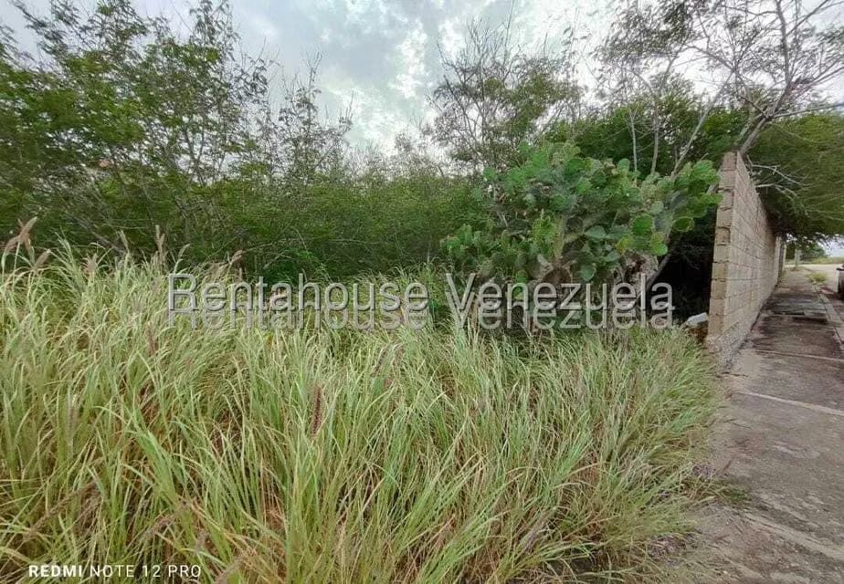 Terreno (Residencial) en Venta en Playa el Angel, Nueva Esparta - 8