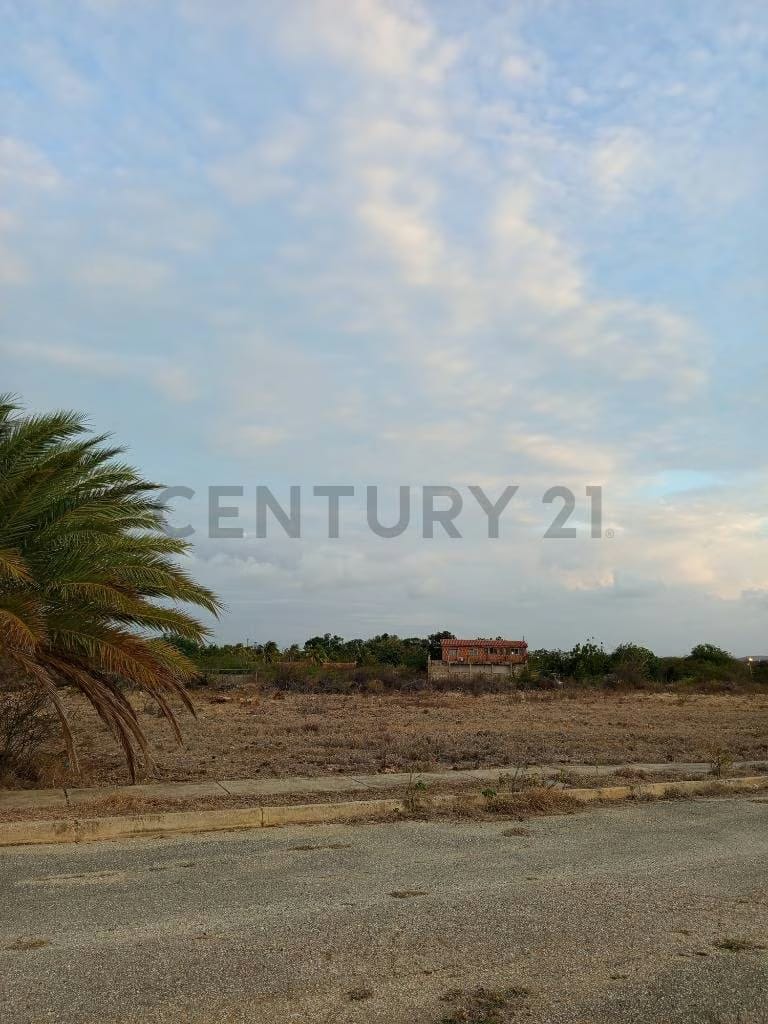 Terreno para desarrollo Campestre, El Datil, Isla de Margarita - 12