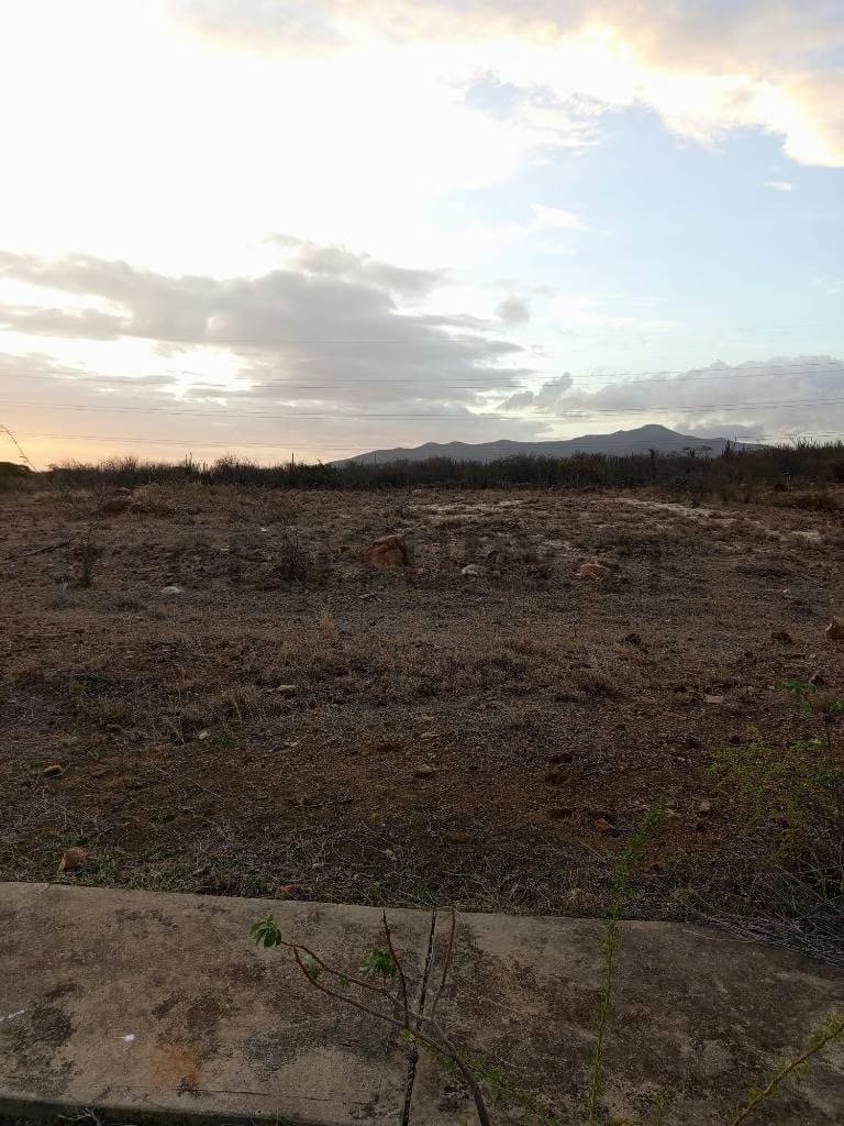 Terreno para desarrollo Campestre, El Datil, Isla de Margarita - 5