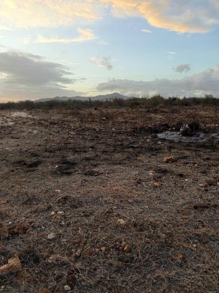 Terreno para desarrollo Campestre, El Datil, Isla de Margarita - 6