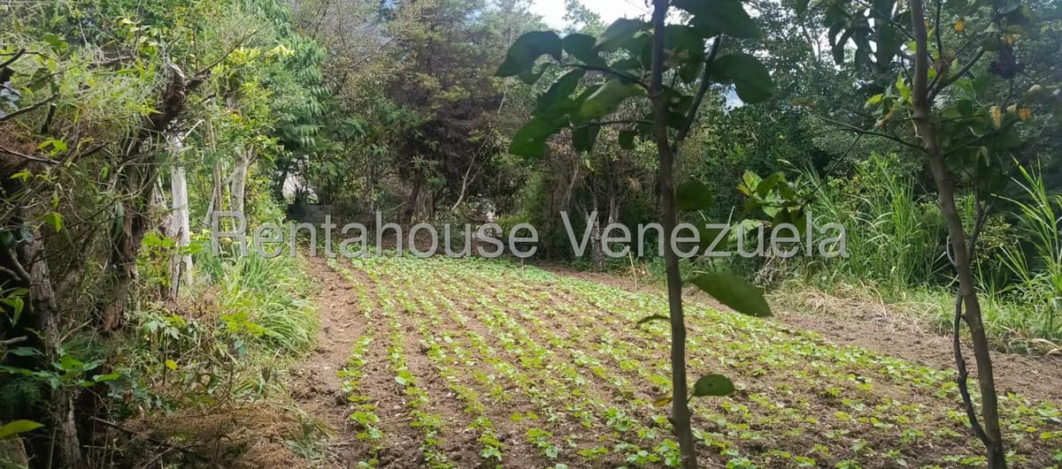 Casa (1 Nivel) en Venta en San Rafael de Tabay, Merida - 15