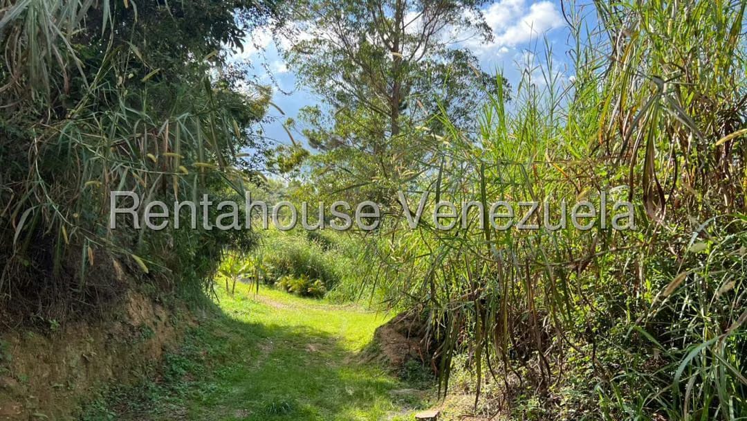 Terreno (Residencial) en Venta en Colinas de Carrizal, Miranda - 11