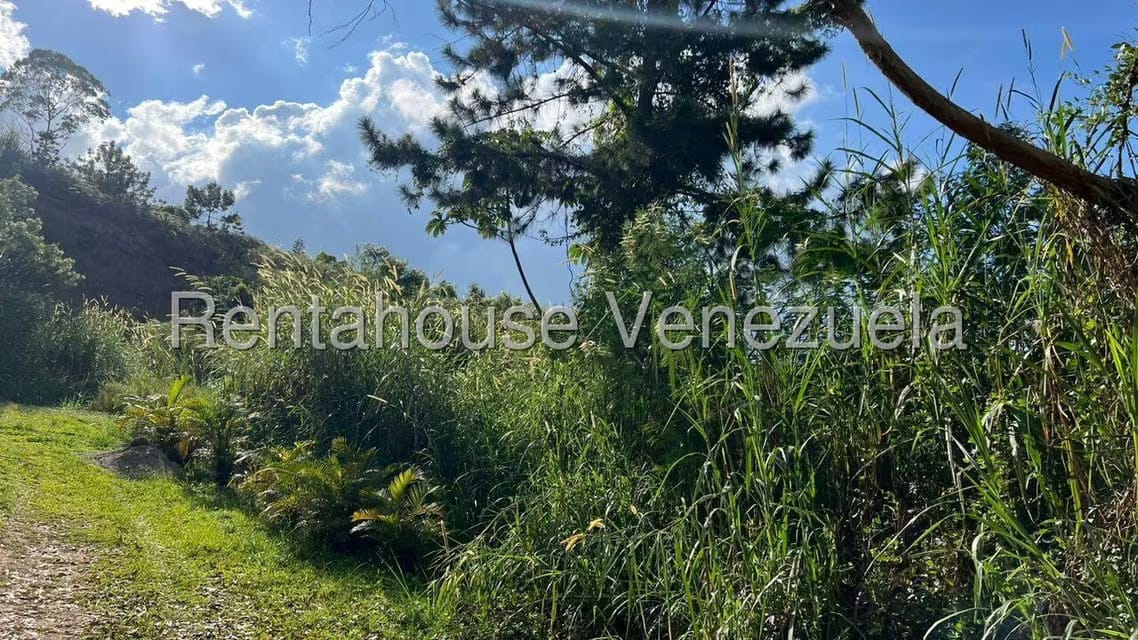 Terreno (Residencial) en Venta en Colinas de Carrizal, Miranda - 8