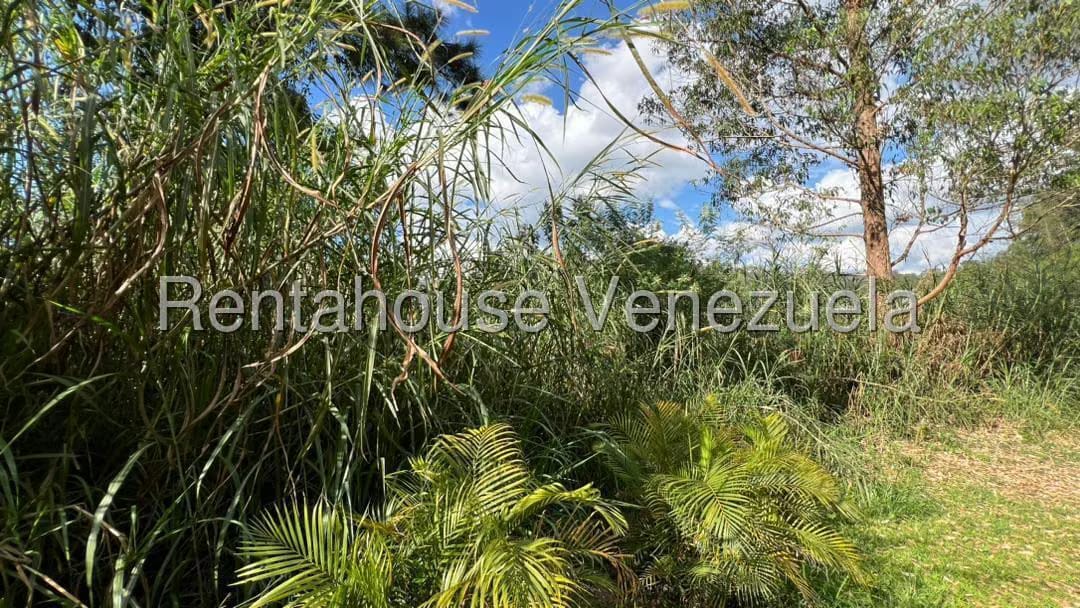 Terreno (Residencial) en Venta en Colinas de Carrizal, Miranda - 9