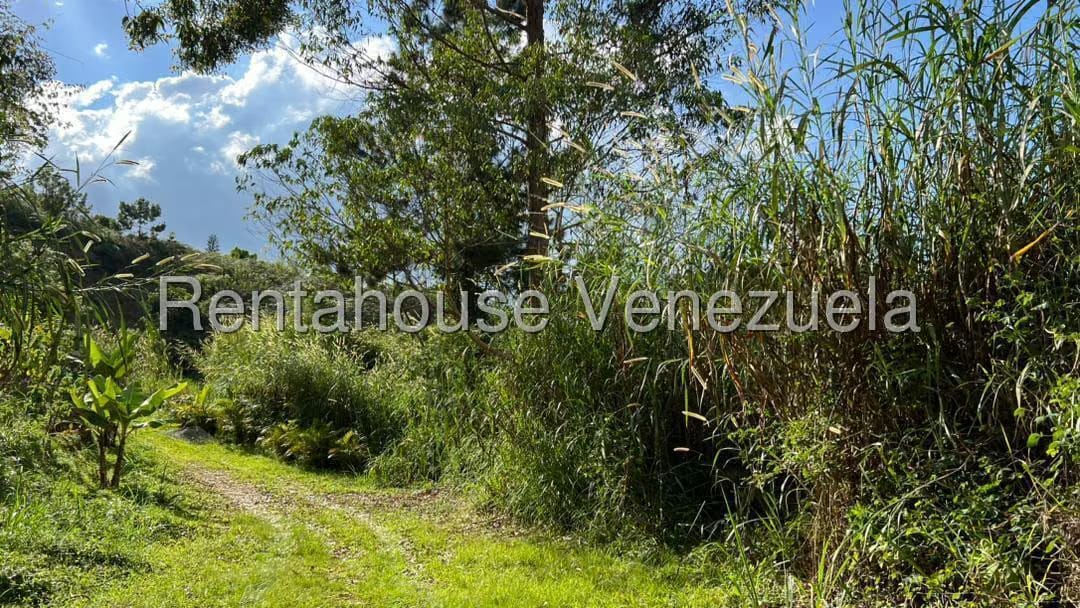Terreno (Residencial) en Venta en Colinas de Carrizal, Miranda - 10
