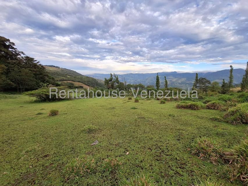 Terreno (Finca) en Venta en Jimenez, Lara