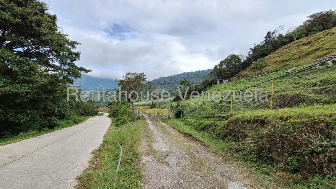 Terreno (Finca) en Venta en Jimenez, Lara - 2