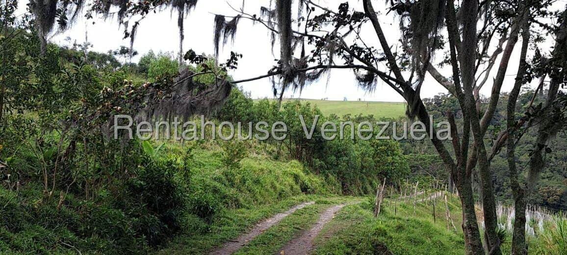 Terreno (Finca) en Venta en Jimenez, Lara - 11