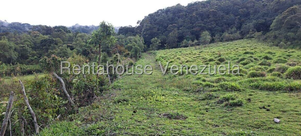 Terreno (Finca) en Venta en Jimenez, Lara - 12