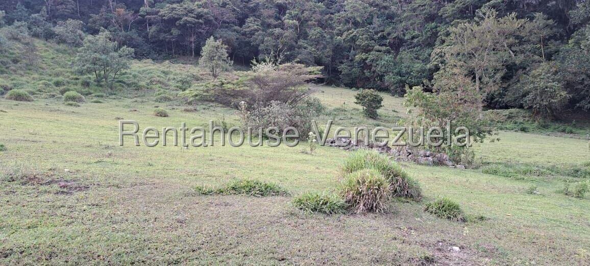 Terreno (Finca) en Venta en Jimenez, Lara - 13