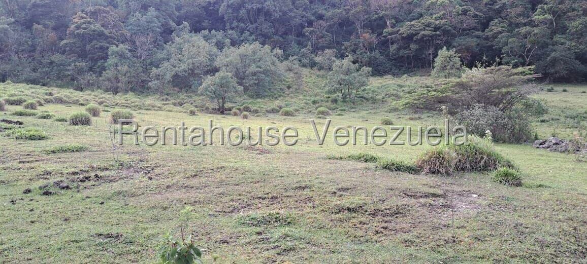 Terreno (Finca) en Venta en Jimenez, Lara - 14