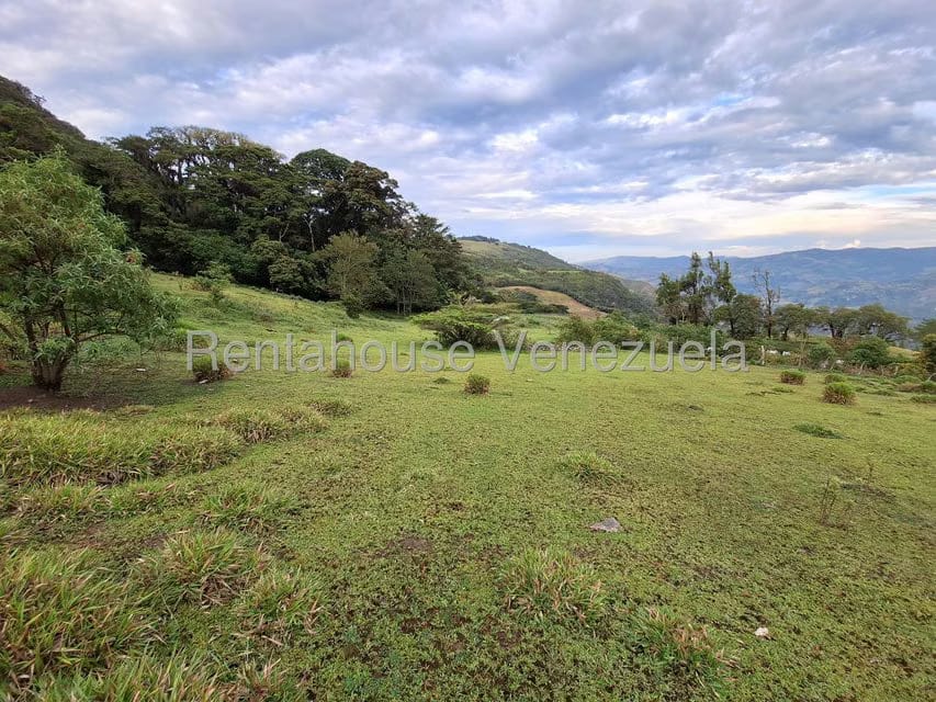 Terreno (Finca) en Venta en Jimenez, Lara - 15