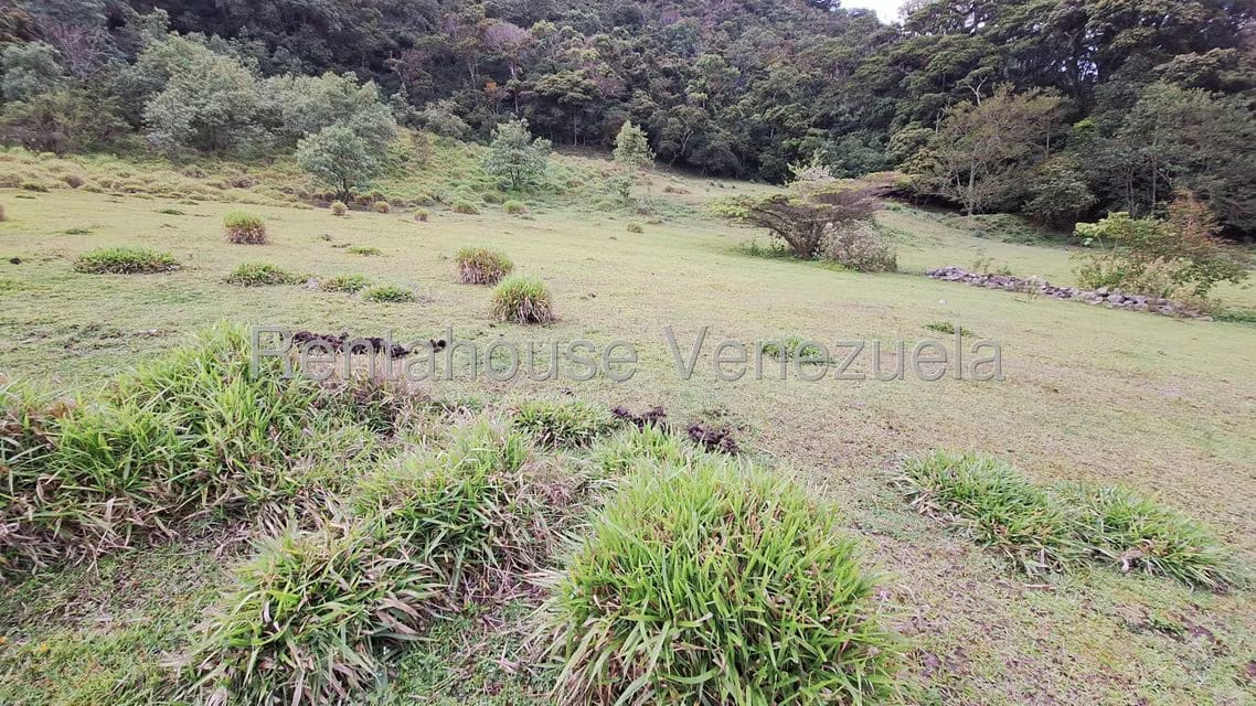 Terreno (Finca) en Venta en Jimenez, Lara - 16
