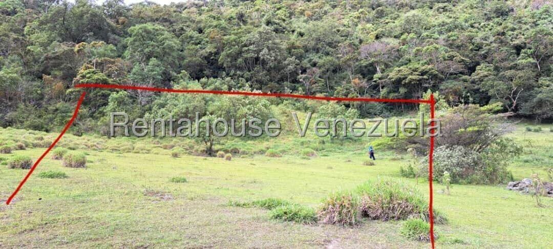 Terreno (Finca) en Venta en Jimenez, Lara - 17