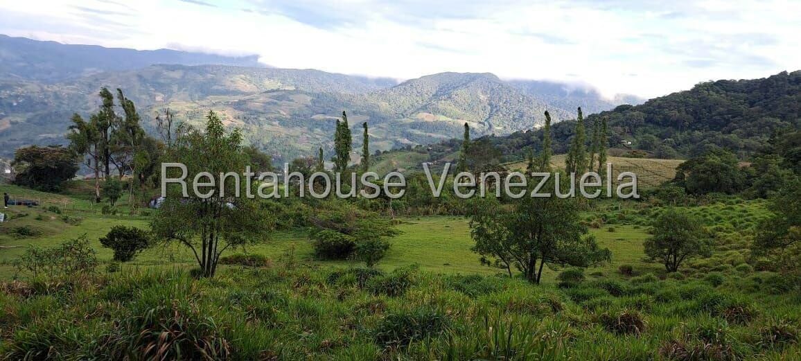 Terreno (Finca) en Venta en Jimenez, Lara - 18