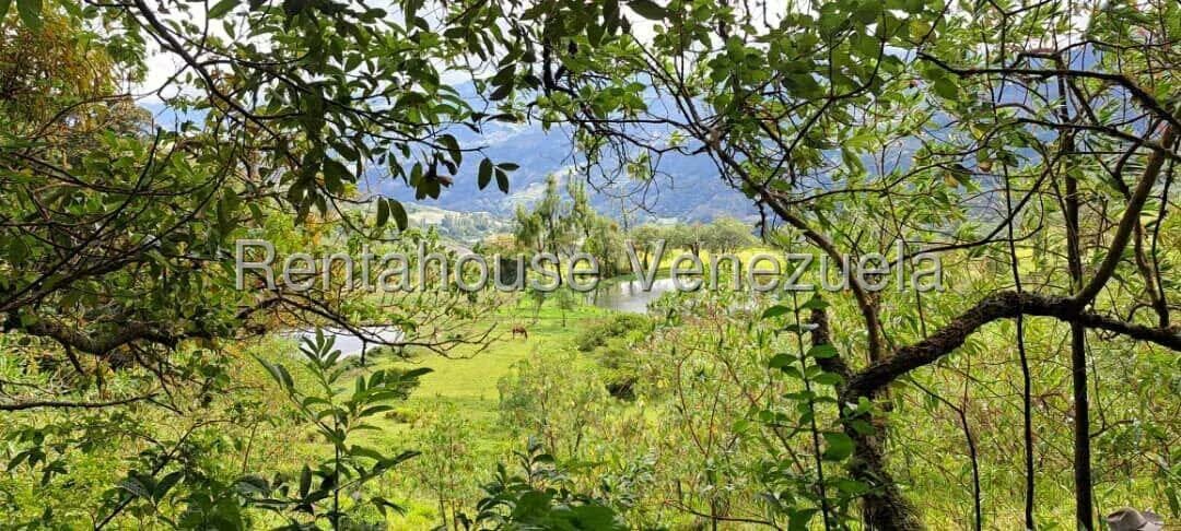Terreno (Finca) en Venta en Jimenez, Lara - 19