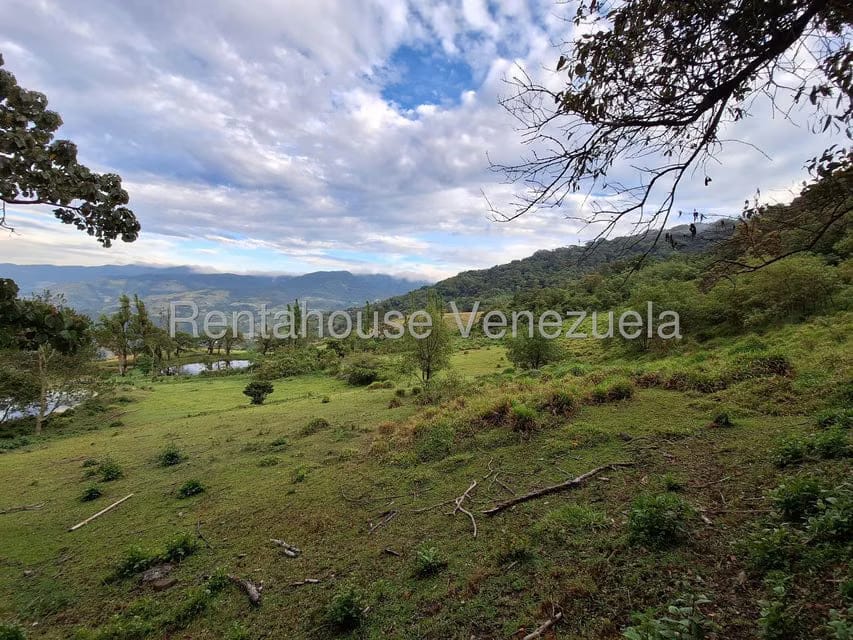 Terreno (Finca) en Venta en Jimenez, Lara - 20