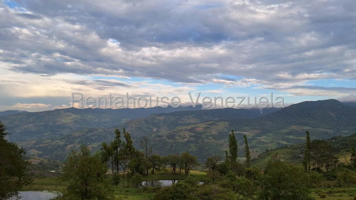 Terreno (Finca) en Venta en Jimenez, Lara - 21