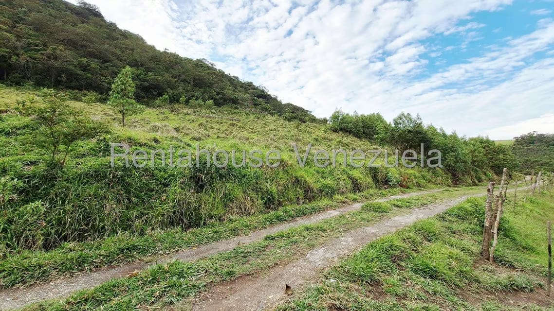 Terreno (Finca) en Venta en Jimenez, Lara - 4