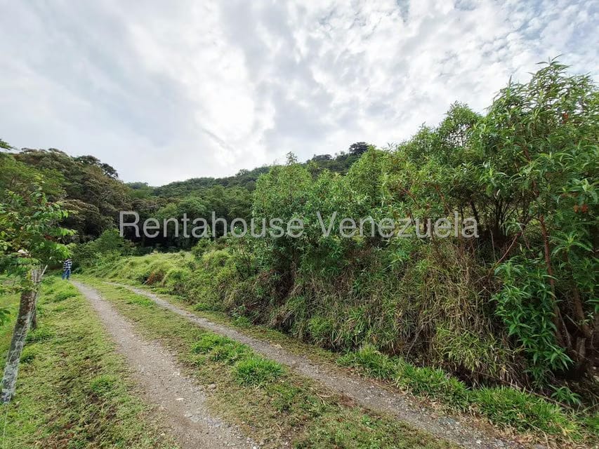 Terreno (Finca) en Venta en Jimenez, Lara - 5