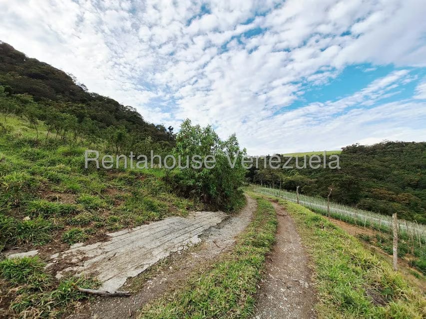 Terreno (Finca) en Venta en Jimenez, Lara - 6