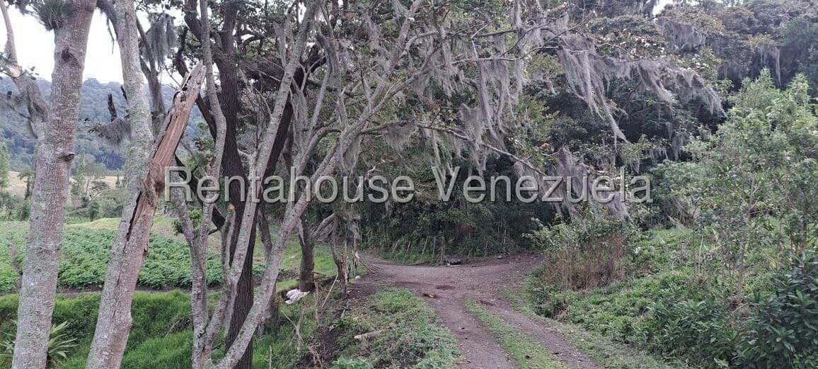 Terreno (Finca) en Venta en Jimenez, Lara - 8