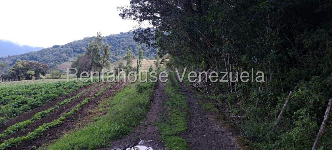 Terreno (Finca) en Venta en Jimenez, Lara - 9