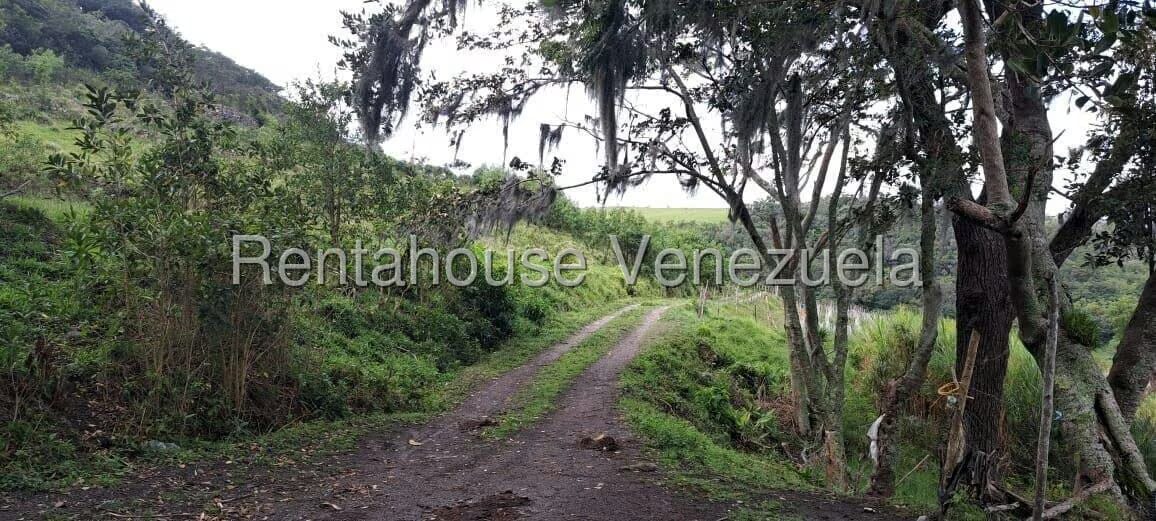 Terreno (Finca) en Venta en Jimenez, Lara - 10