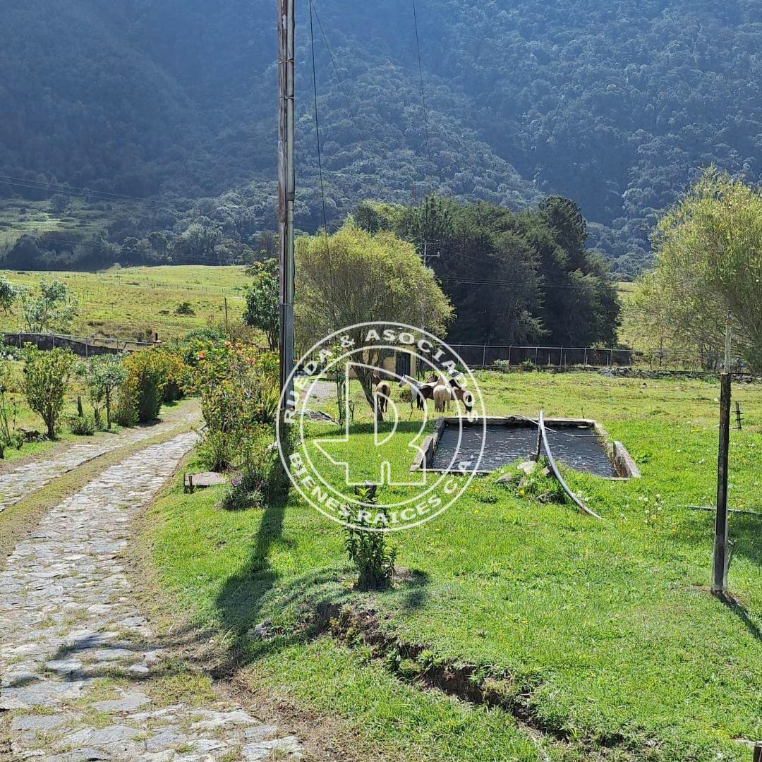 Finca en Venta - Alto Viento - El Valle - Mérida estado Mérida