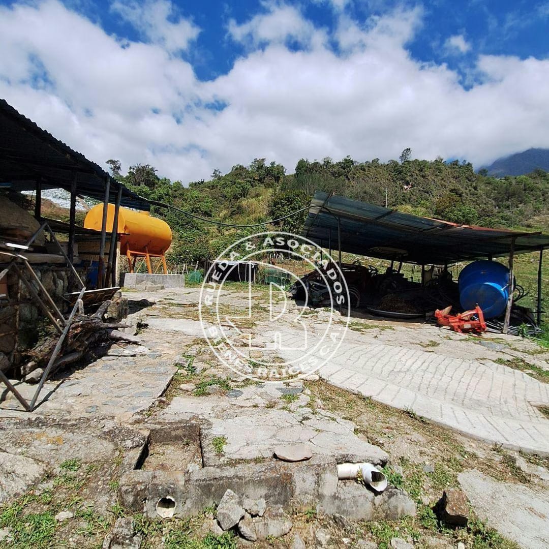 Finca en Venta - Alto Viento - El Valle - Mérida estado Mérida - 7