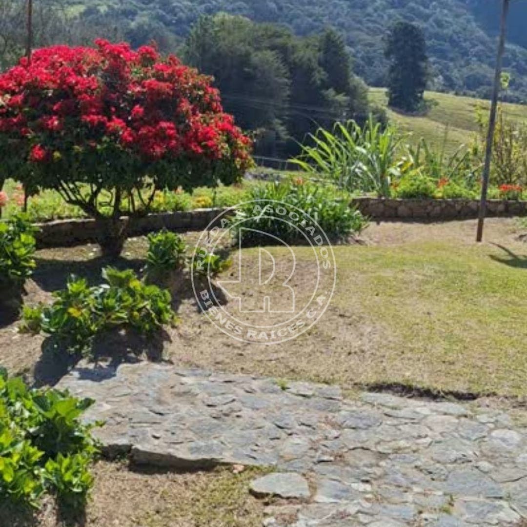 Finca en Venta - Alto Viento - El Valle - Mérida estado Mérida - 9