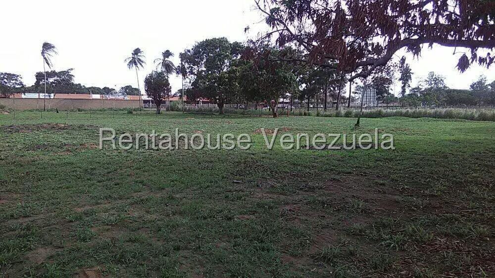 Terreno (Comercial) en Venta en Sector Avenida Intercomunal, Anzoategui - 5