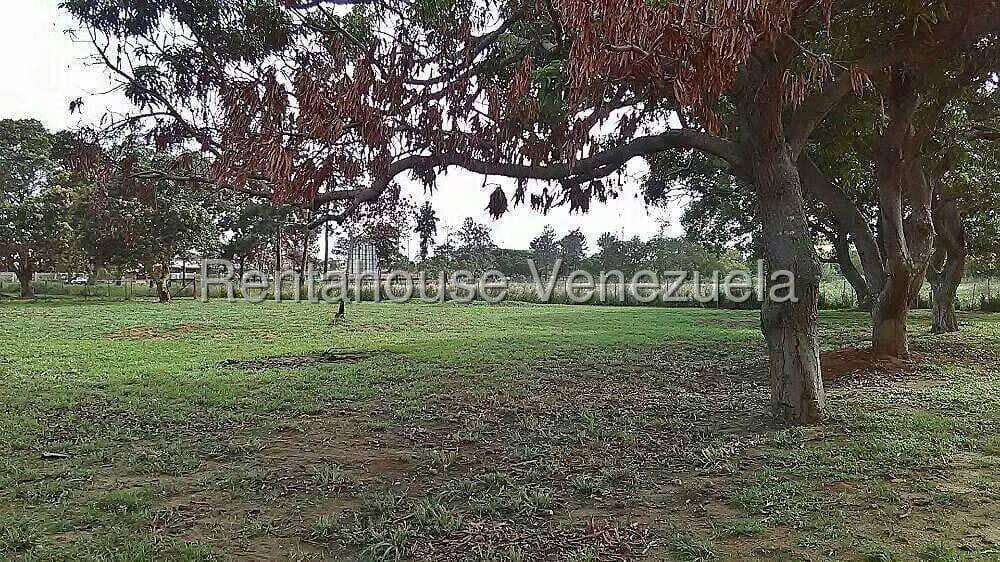 Terreno (Comercial) en Venta en Sector Avenida Intercomunal, Anzoategui - 6