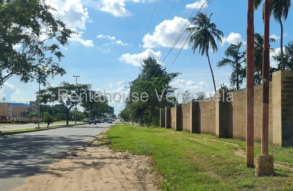 Terreno (Comercial) en Venta en Sector Avenida Intercomunal, Anzoategui - 10