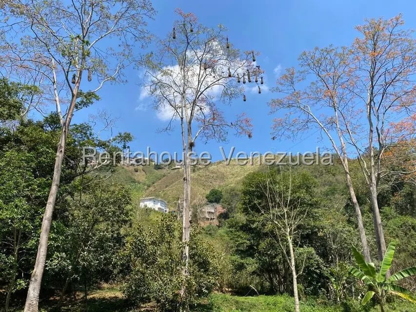 Terreno (Comercial) en Venta en El Hatillo, Distrito Metropolitano - 20
