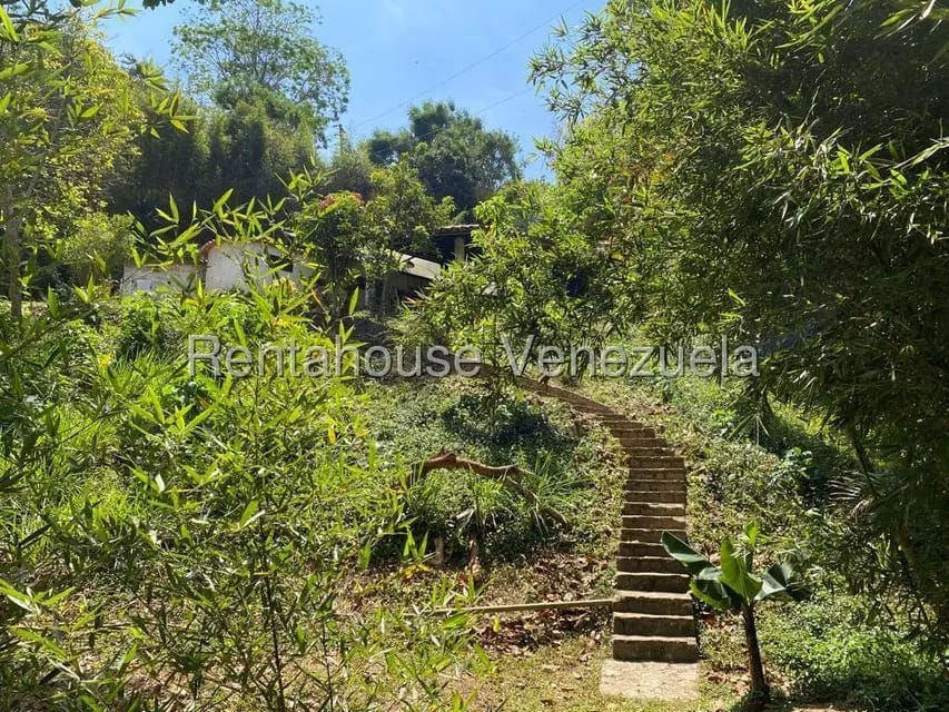 Terreno (Comercial) en Venta en El Hatillo, Distrito Metropolitano - 27