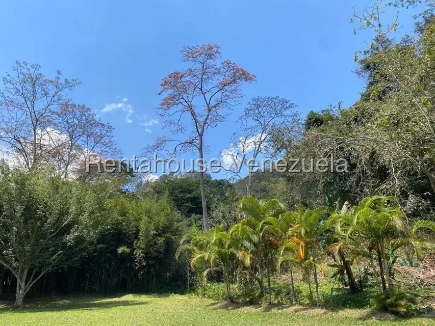 Terreno (Comercial) en Venta en El Hatillo, Distrito Metropolitano - 41