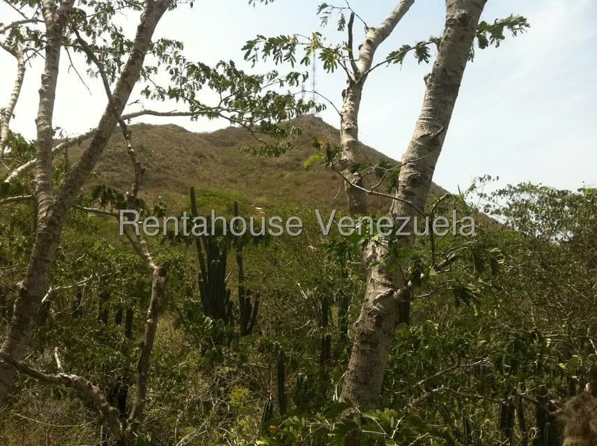 Terreno (Comercial) en Venta en Sector El Portete, Aragua - 11