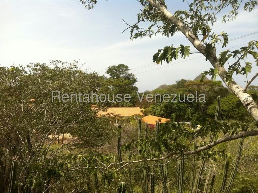 Terreno (Comercial) en Venta en Sector El Portete, Aragua - 12