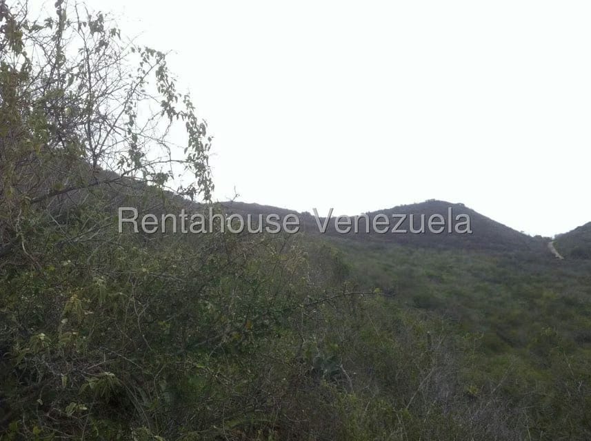 Terreno (Comercial) en Venta en Sector El Portete, Aragua - 13