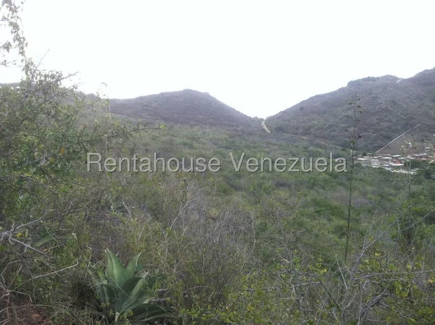 Terreno (Comercial) en Venta en Sector El Portete, Aragua - 16
