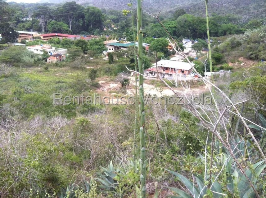 Terreno (Comercial) en Venta en Sector El Portete, Aragua - 20