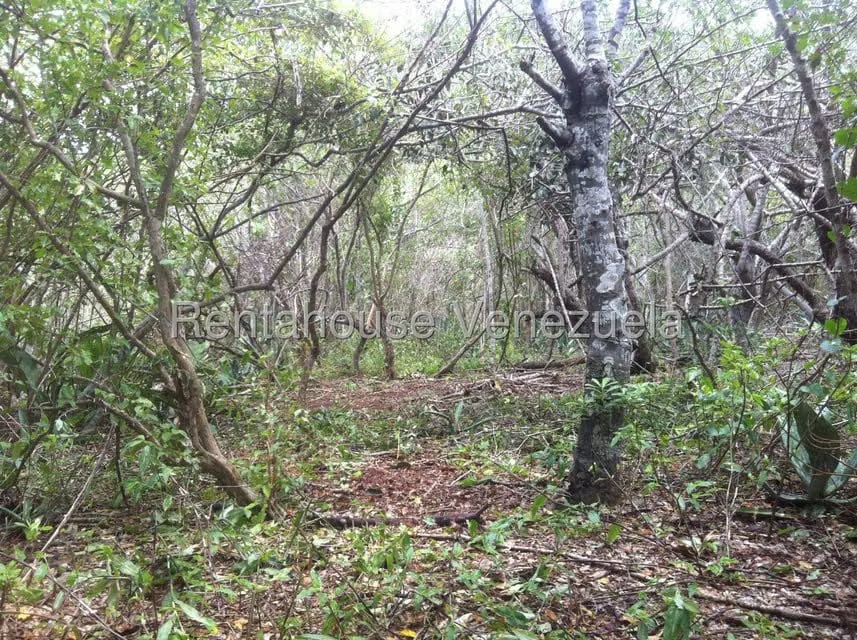 Terreno (Comercial) en Venta en Sector El Portete, Aragua - 6