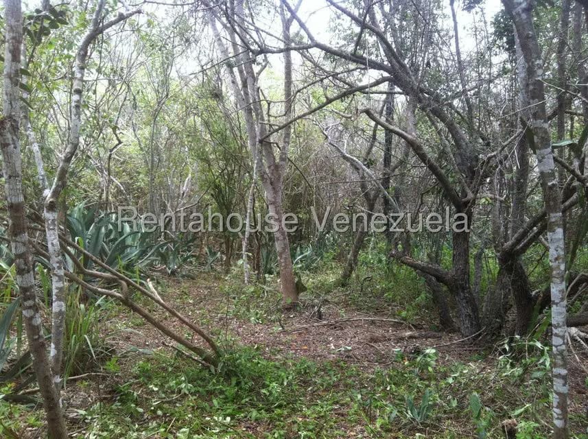 Terreno (Comercial) en Venta en Sector El Portete, Aragua - 7